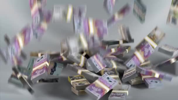 Romanya Banknotları / Romen Parası / Leu / RON Paketleri Düşüyor - Video, Çekim
