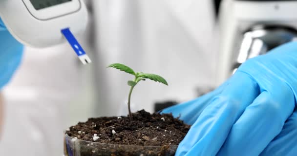 A kesztyűben lévő tudós biológus méri a talajt csírával a kémcsőben. Laboratóriumban termesztett biotermékek és ökotermékek - Felvétel, videó