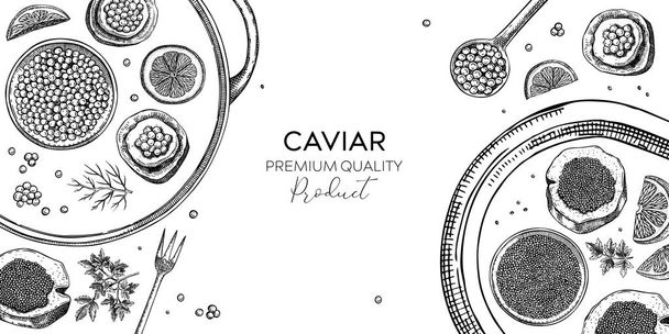Seafood platter in engraved style. Red caviar canape, black caviar tin, lemons sketches. Sea delicacy background for restaurant menu or finger food party. Hand drawn canned fish banner design - Vector, Image
