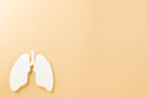World tuberculosis day. Lungs paper cutting decorative symbol on pastel background, copy space, concept of world TB day, no tobacco, banner background, respiratory, lung cancer awareness, 24 March - Fotografie, Obrázek