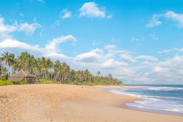 Belle vue sur la plage tropicale du Sri Lanka par une journée ensoleillée
 - Photo, image
