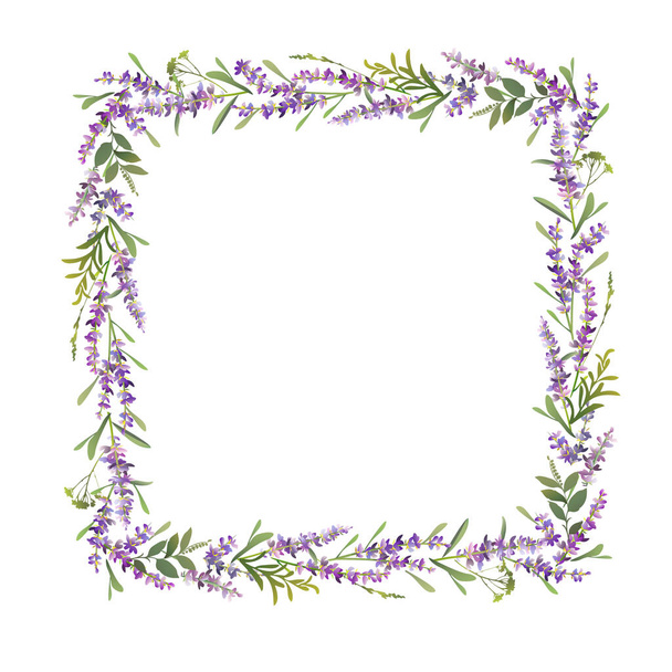 Square lavender frame design. Vector colorful illustration. - Διάνυσμα, εικόνα