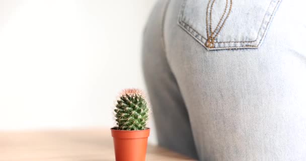 Female butt in jeans sitting on cactus closeup 4k movie slow motion. Diagnosis and treatment of hemorrhoids and rectal fissure concept - Imágenes, Vídeo