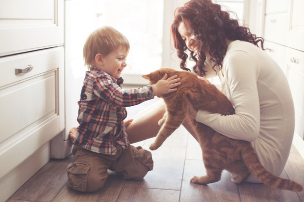 母と子の猫と遊ぶ - 写真・画像