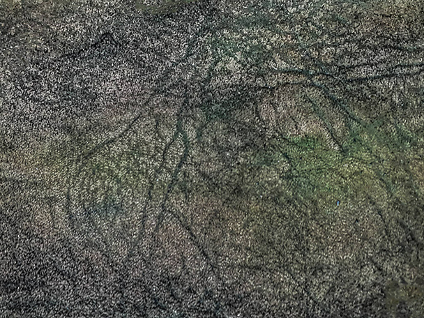 Stretch marks abstract dark green mixed tones texture background - Valokuva, kuva