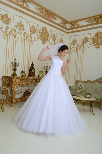 Bride in wedding dress - Photo, Image