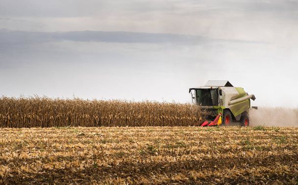 Combine harvester harvesting corn at twilight - Фото, изображение