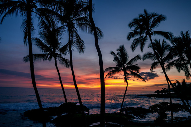 Hawai sunet - Photo, Image