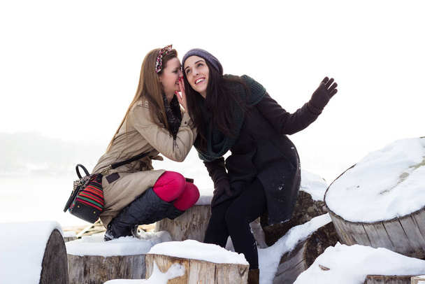 Retrato de dos hermosas mujeres, invierno, nieve - Foto, imagen