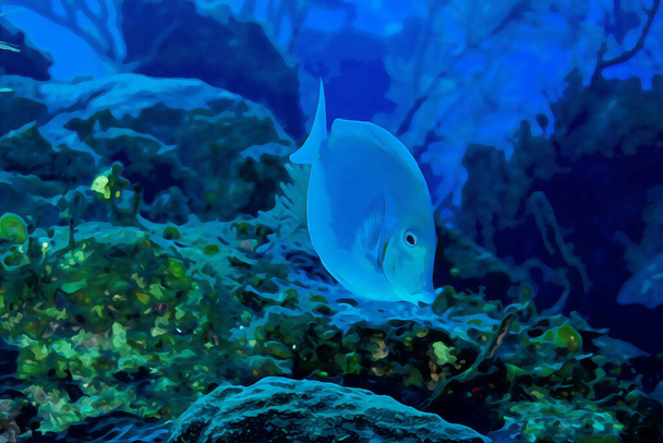 Digitaal gemaakt aquarel schilderij van Blue tang surgeonfish Acanthurus coeruleus zwemmen over een koraalrif. Hoge kwaliteit illustratie - Foto, afbeelding