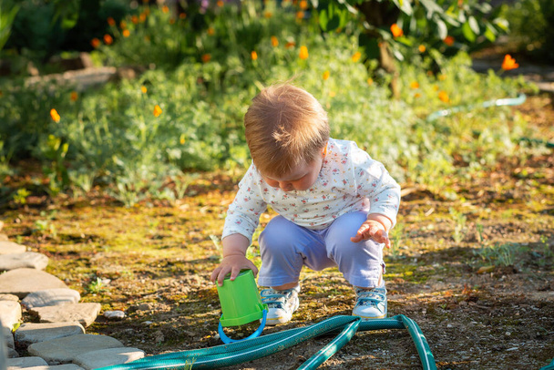 A small toddler is playing with a plastic toy bucket in the backyard. Summertime. - Fotografie, Obrázek