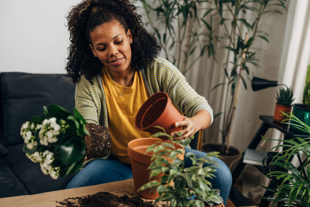 A woman is choosing a pot for her houseplant - Photo, image