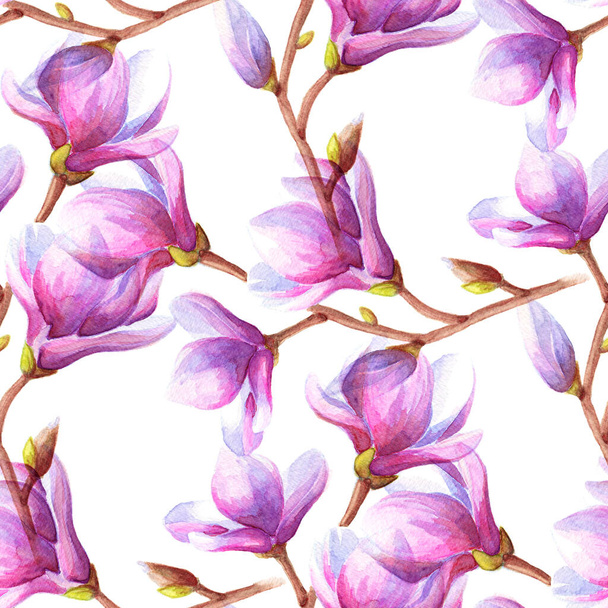 Hand drawn watercolor seamless pattern illustration of magnolia or tulip tree branch with pink flowers over white background. - Foto, Imagen