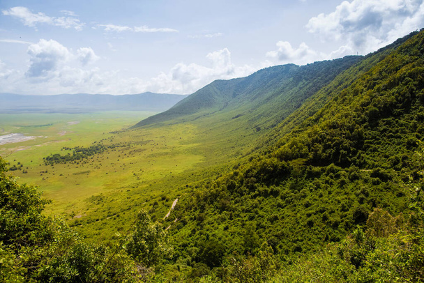 krásná africká krajina v Tanzanii se stromy a horami v národním parku Ngorongoro - Fotografie, Obrázek