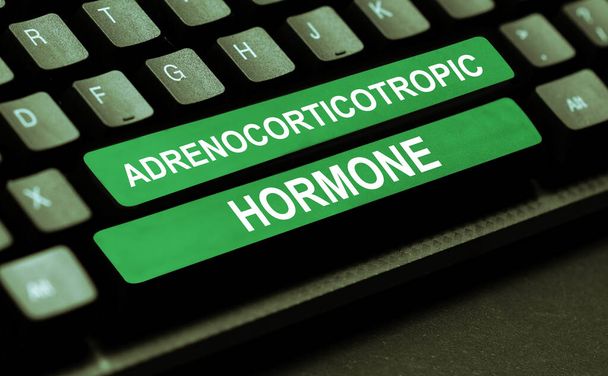 Conceptual caption Adrenocorticotropic Hormone, Business idea hormone secreted by pituitary gland cortex - Photo, Image