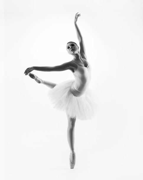 Young beautiful ballet dancer - Valokuva, kuva