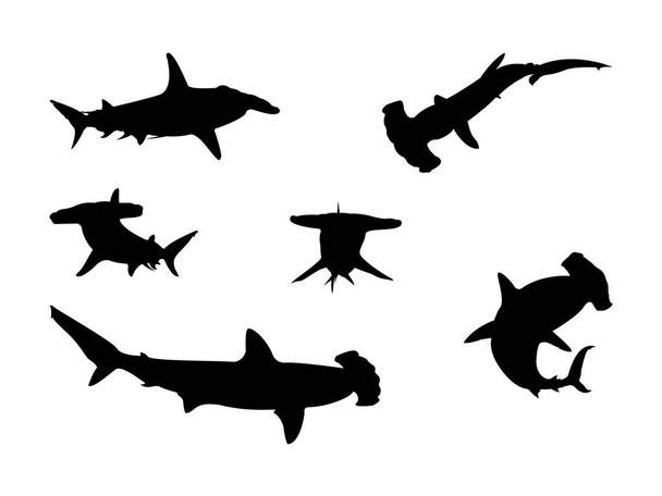 Hammerhead Shark Silhouette Collection. - Vector, Image