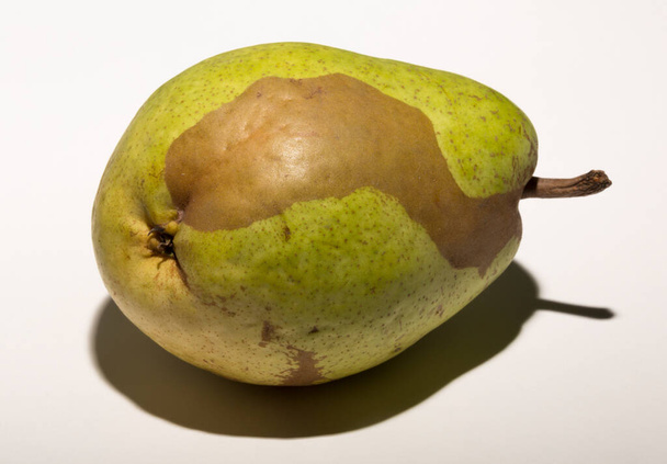 Vihreä päärynä valkoisella pohjalla. Pigmentaatio hedelmissä. Vitiligon käsitteellinen yhdistys. - Valokuva, kuva