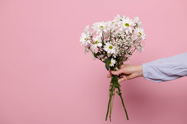 Female hand holding beautiful bouquet of white chamomile on isolated pink background. Beautiful spring flowers for International Womens Day, Mothers Day or any other occasion. Copy advertising space - Photo, Image