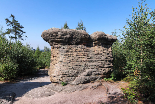 Stone Mushrooms - rock formation in Broumov Walls (Broumovske steny), mountain range and nature reserve, part of Table Mountains in Czech Republic - Foto, Imagen