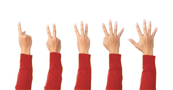 Die Hand, die ein bis fünf Finger zeigt, zählt. Kommunikationsgesten. Objekt mit Schnittpfad. Countdown - Foto, Bild