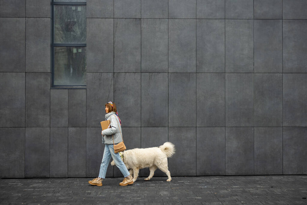 Woman walks with her white dog on background of gray wall outdoors. Wide view with copy space. Lifestyle concept - Fotó, kép