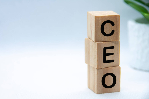 CEO text on wooden blocks with customizable space for text or ideas. CEO and copy space concept. - Photo, Image