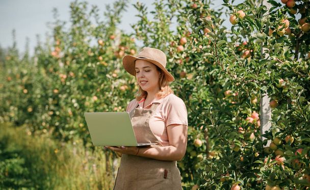 Ελκυστική γυναίκα γεωπόνος ή αγρότης με φορητό υπολογιστή στέκεται σε οπωρώνα μήλου και τον έλεγχο των φρούτων, κρατά σημειώσεις. Γεωργία και κηπουρική έννοια. Υγιεινή διατροφή - Φωτογραφία, εικόνα