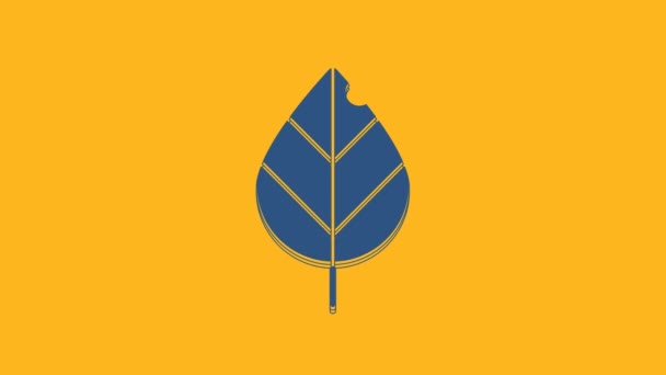Синий значок Leaf выделен на оранжевом фоне. Символ свежего натурального продукта. Видеографическая анимация 4K. - Кадры, видео