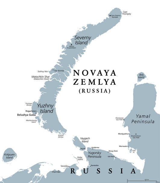 Novaya Zemlya, archipelago in northern Russia, gray political map. Situated in the Arctic Ocean, consisting of Severny Island and Yuzhny Island. Nuclear weapons testing venue during much of Cold War. - Vektör, Görsel