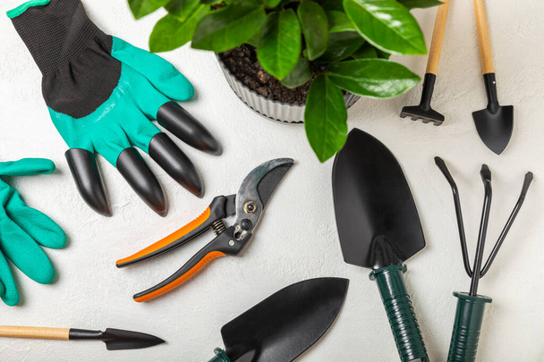 Gardening tools on a yellow background in a greenhouse. Spring in the garden. Garden shovels and rakes, pruner, gardening gloves on bright background.Gardening and hobby concept.Place for text. - Photo, Image