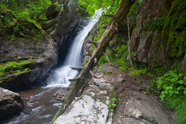 Campbell Falls state park norfolk connecticut - 写真・画像
