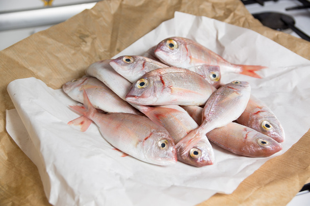 frischer Fisch mit roten Schuppen - Foto, Bild