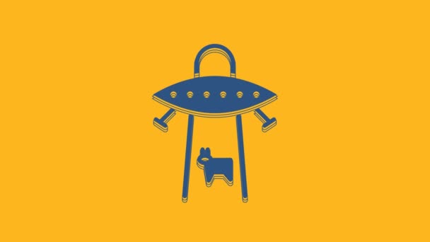 Modré UFO unáší ikonu krávy izolované na oranžovém pozadí. Létající talíř. Mimozemská vesmírná loď. Futuristický neznámý létající objekt. Grafická animace pohybu videa 4K. - Záběry, video