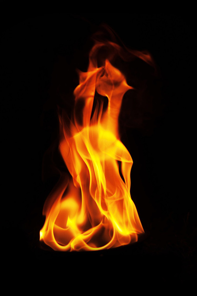 Fire flames on black background - Photo, image