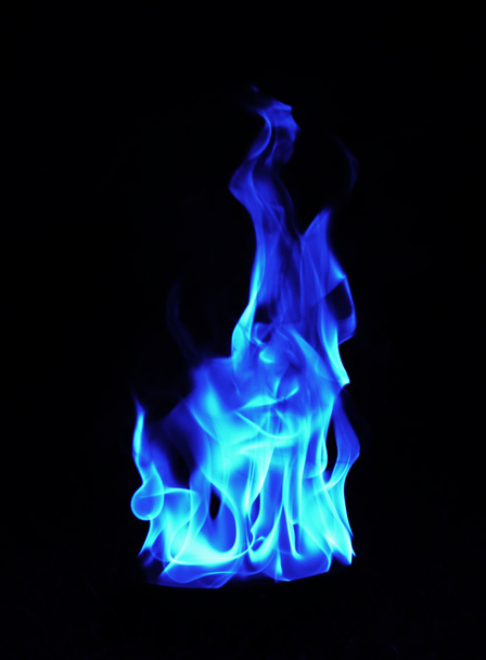 blue Fire flames on black background - 写真・画像