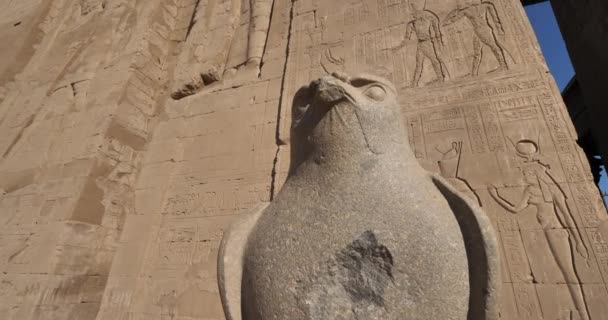 Estatua de granito halcón de Horus, Edfu tempe, Egipto superior - Imágenes, Vídeo