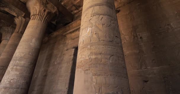 Ναός του Ώρου στο Edfu, Άνω Αίγυπτος - Πλάνα, βίντεο