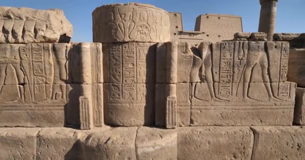 Temple d'Horus à Edfou, Haute Egypte - Séquence, vidéo