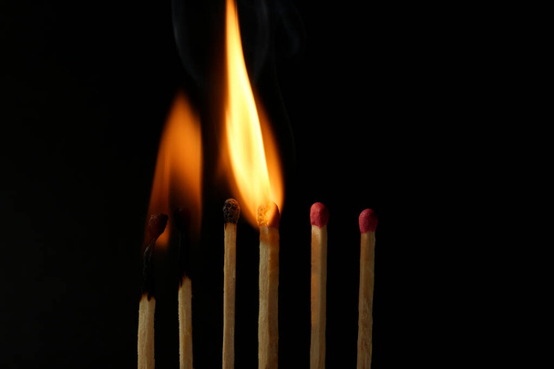 Burning and whole matches on black background, closeup. Stop destruction concept - Photo, image