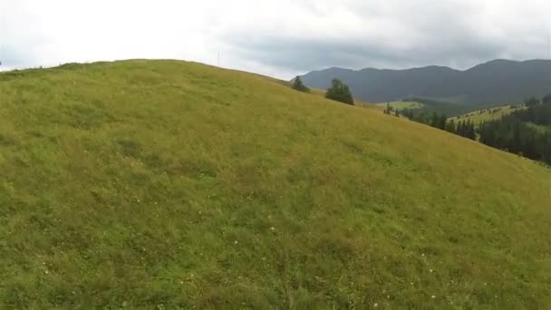 Hill in bergen met hout. Luchtfoto - Video