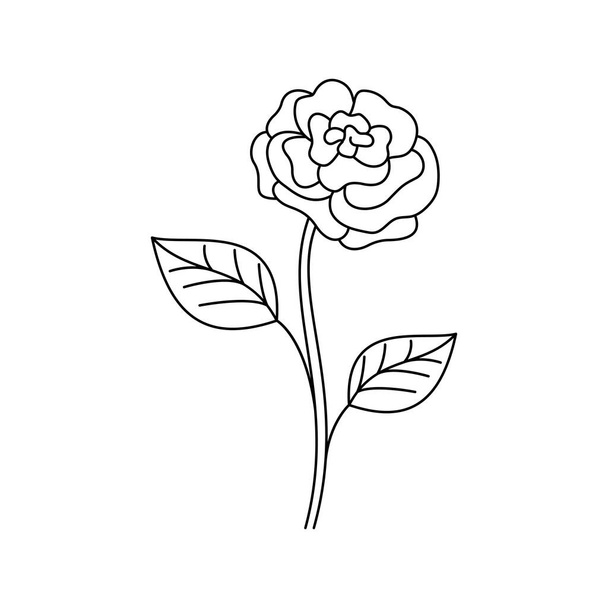 Fleur de rose linéaire vectorielle isolée avec feuilles. Minimal moderne et simple contour floral graphique - Vecteur, image