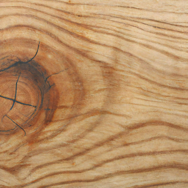 textura sección longitudinal de un árbol viejo. Foto de alta calidad - Foto, imagen