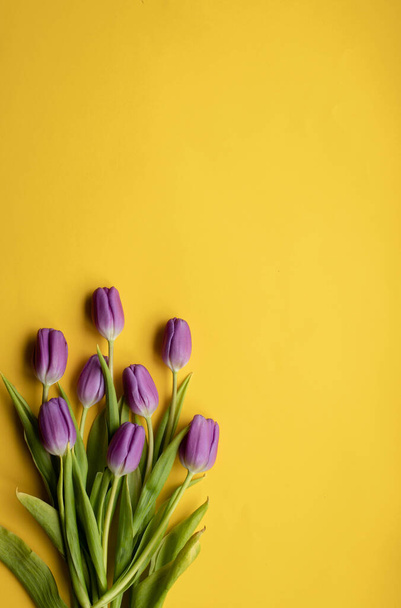 Весенние свежие тюльпаны на желтом фоне ко Дню матери, валентинка, праздничная открытка.. - Фото, изображение