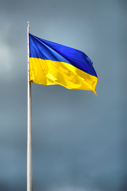 Flaga ukraińska - Zdjęcie, obraz