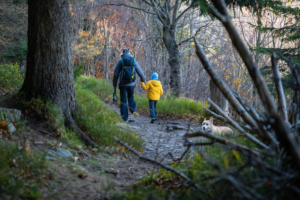 Uma mãe com um filho e um cão estão caminhando ao longo da trilha de caminhadas na montanha. Família a passar tempo. Montanhas polacas - Foto, Imagem