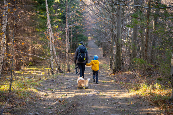 Çocuğu ve köpeği olan bir anne dağ yürüyüşü patikasında yürüyor. Ailece vakit geçirmek. Polonya dağları - Fotoğraf, Görsel