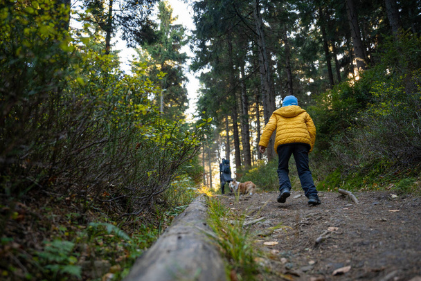 Äiti, jolla on lapsi ja koira, kävelee vuoristovaelluspolkua pitkin. Perhe viettää aikaa. Puolan vuoret - Valokuva, kuva