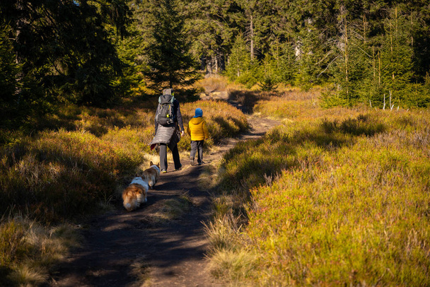 A mother with a child and a dog are walking along the mountain hiking trail. Family spending time. Polish mountains - Foto, imagen