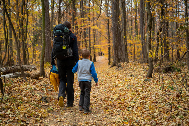 Anne ve çocuk dağ yürüyüşü yolunda yürüyorlar. Ailece vakit geçirmek. Polonya dağları - Fotoğraf, Görsel